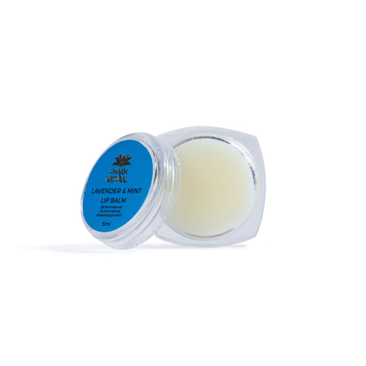 Organic Lip Balm - Lavender & Mint Skin Care