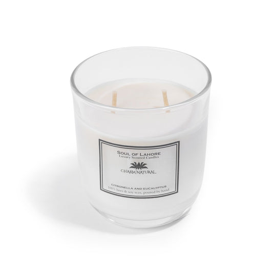 Citronella & Eucalyptus - Mosquito Repellent Candle Scented Candles