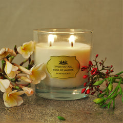 Honeysuckle Luxury Scented Candle Scented Candles
